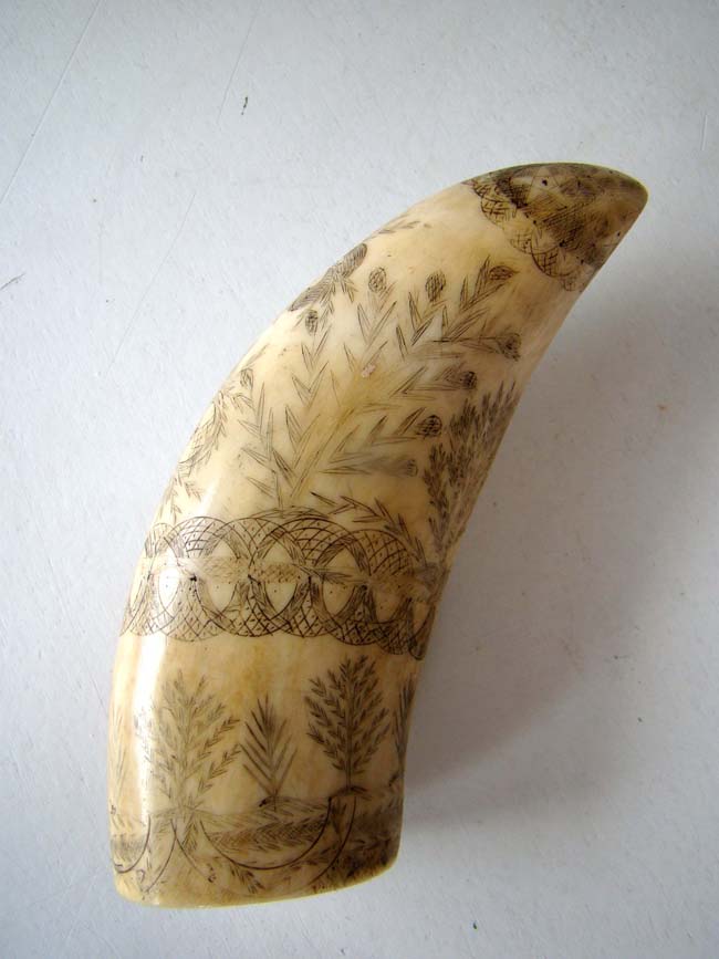 A charming 19th century Scrimshaw Whale's Tooth